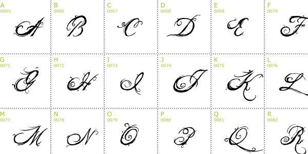 Calligraphy Fonts Letters