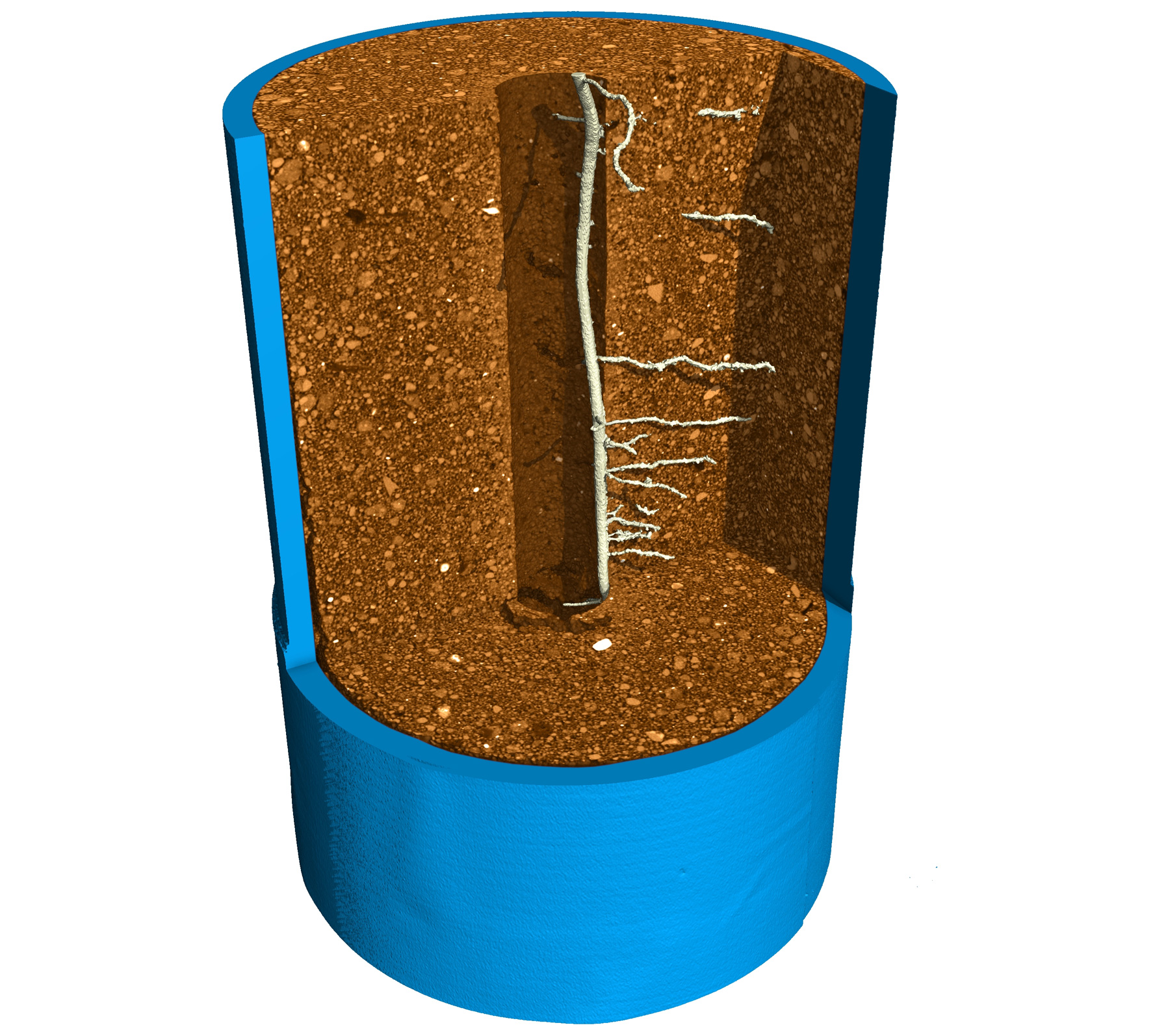 Hydropatterning-Maize-Rootsweb