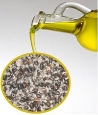 cottonseed oil