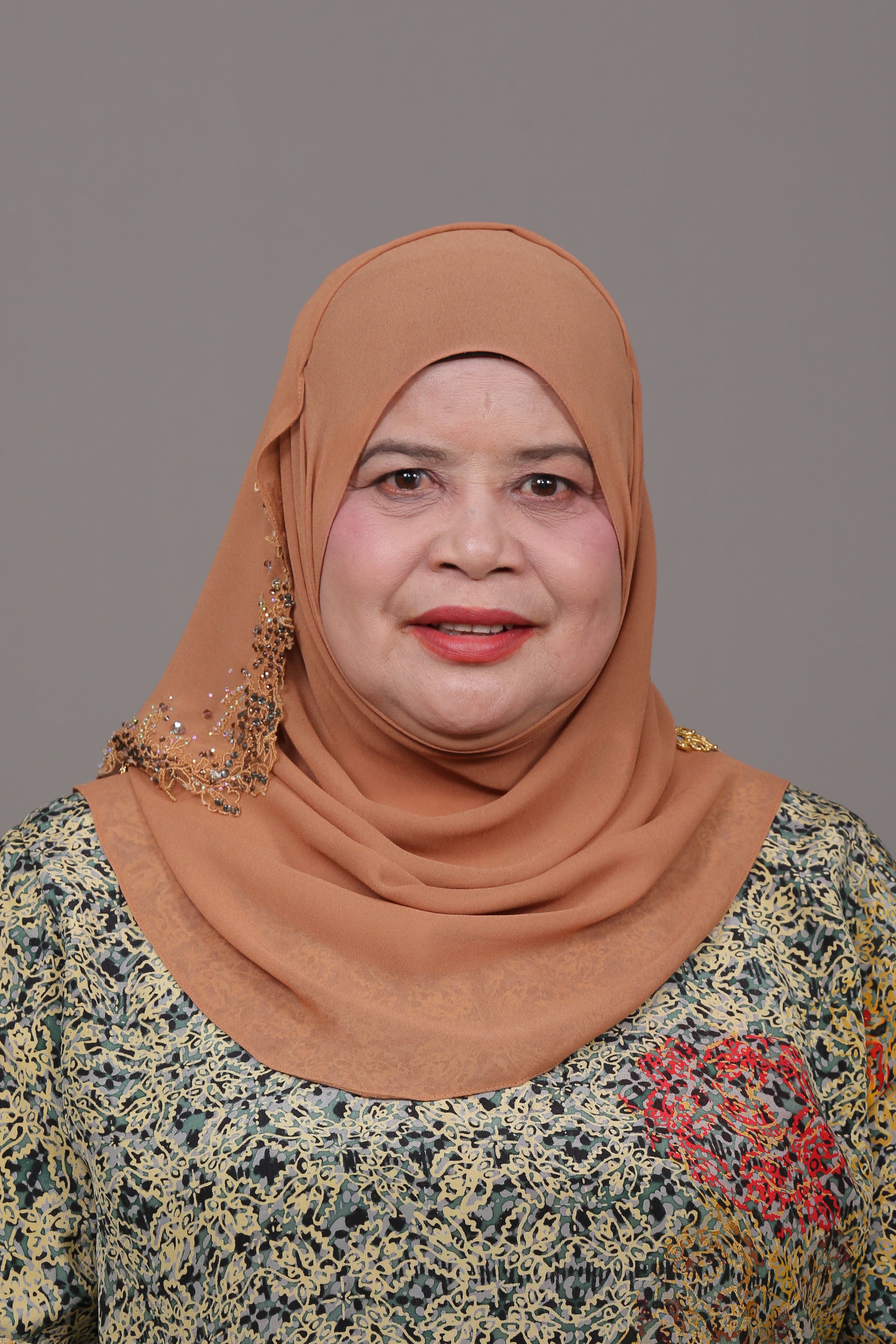 Photo - YB Datuk Hajah Rubiah binti Wang - Click to open the Member of Parliament profile