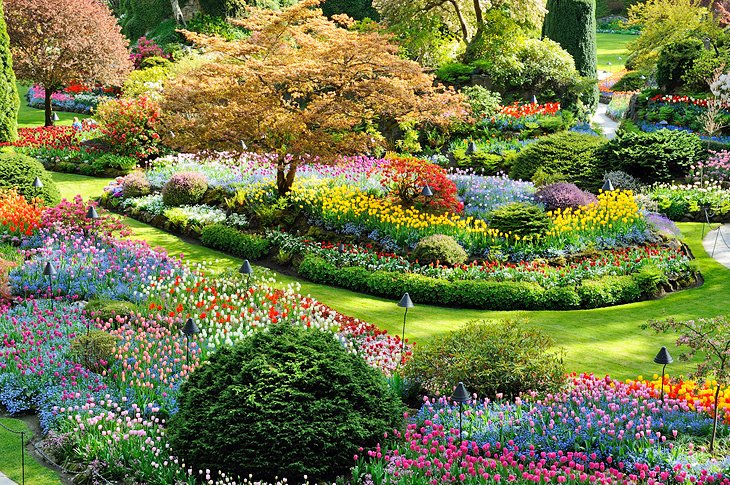 Butchart Gardens