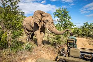 16 Best Game Reserves in Africa