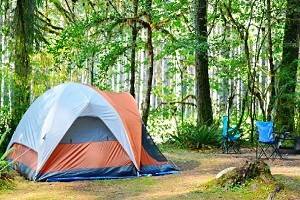 15 Top-Rated Campgrounds in Olympic National Park