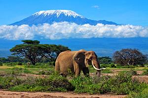 15 Top-Rated Tourist Attractions in Tanzania