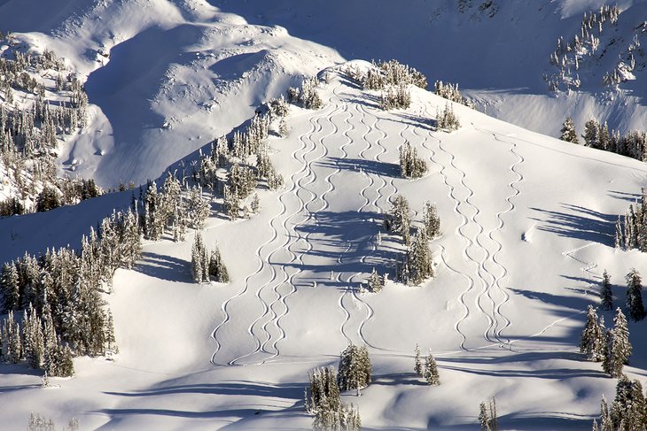 Fresh tracks at Grand Targhee Ski Resort