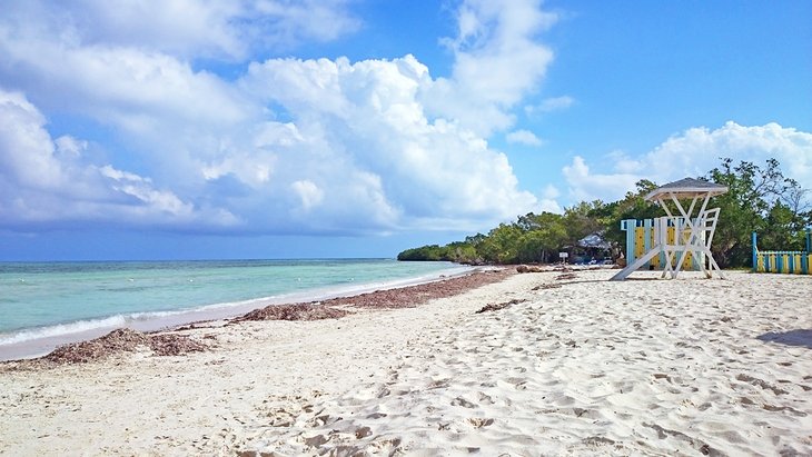 Burwood Beach