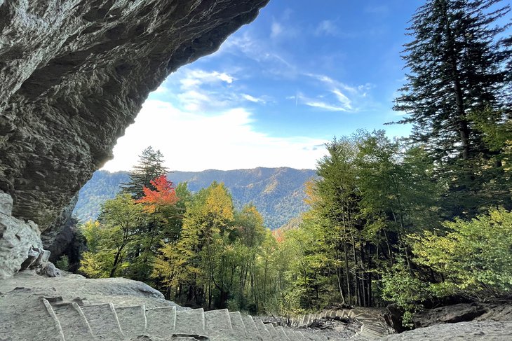 Top of Alum Cave Trail