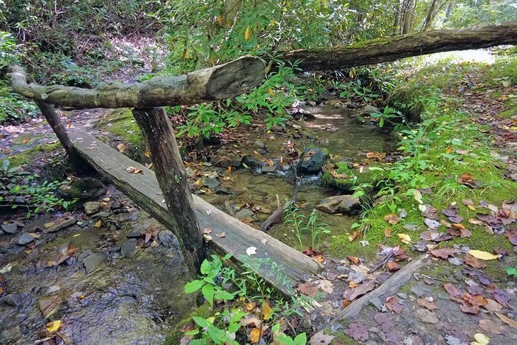 Elkmont Nature Trail