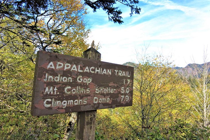 Newfound Gap to Indian Gap