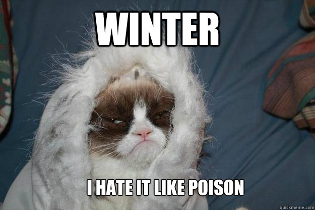 winter i hate it like poison - winter i hate it like poison  Cold Grumpy Cat