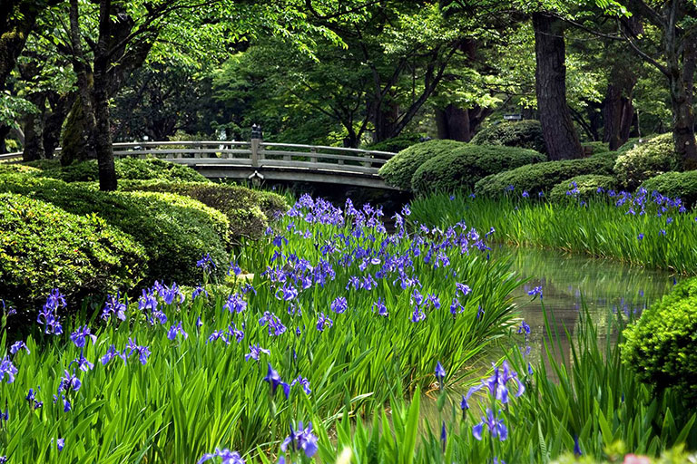 9 Real-Life Fairy Tale Gardens