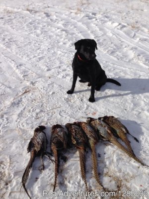 Double P Ranch | Clark, South Dakota | Hunting Trips