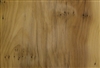 YEW TREE VENEER