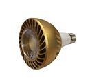 Golden PAR30 LED bulb