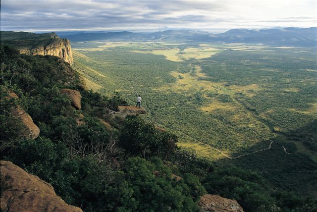 Golf Resorts to rent in Sterkrivier, Entabeni Safari Conservancy, South Africa