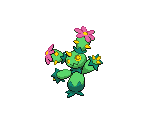 #556 Maractus