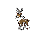 #586 Sawsbuck (winter)