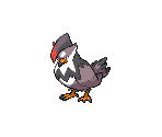 #398 Staraptor (female)