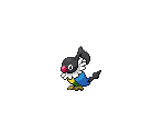 #441 Chatot