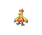 #256 Combusken (female)