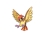 #017 Pidgeotto