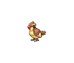 #016 Pidgey