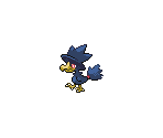 #198 Murkrow (Male)