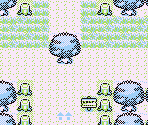 Viridian Forest