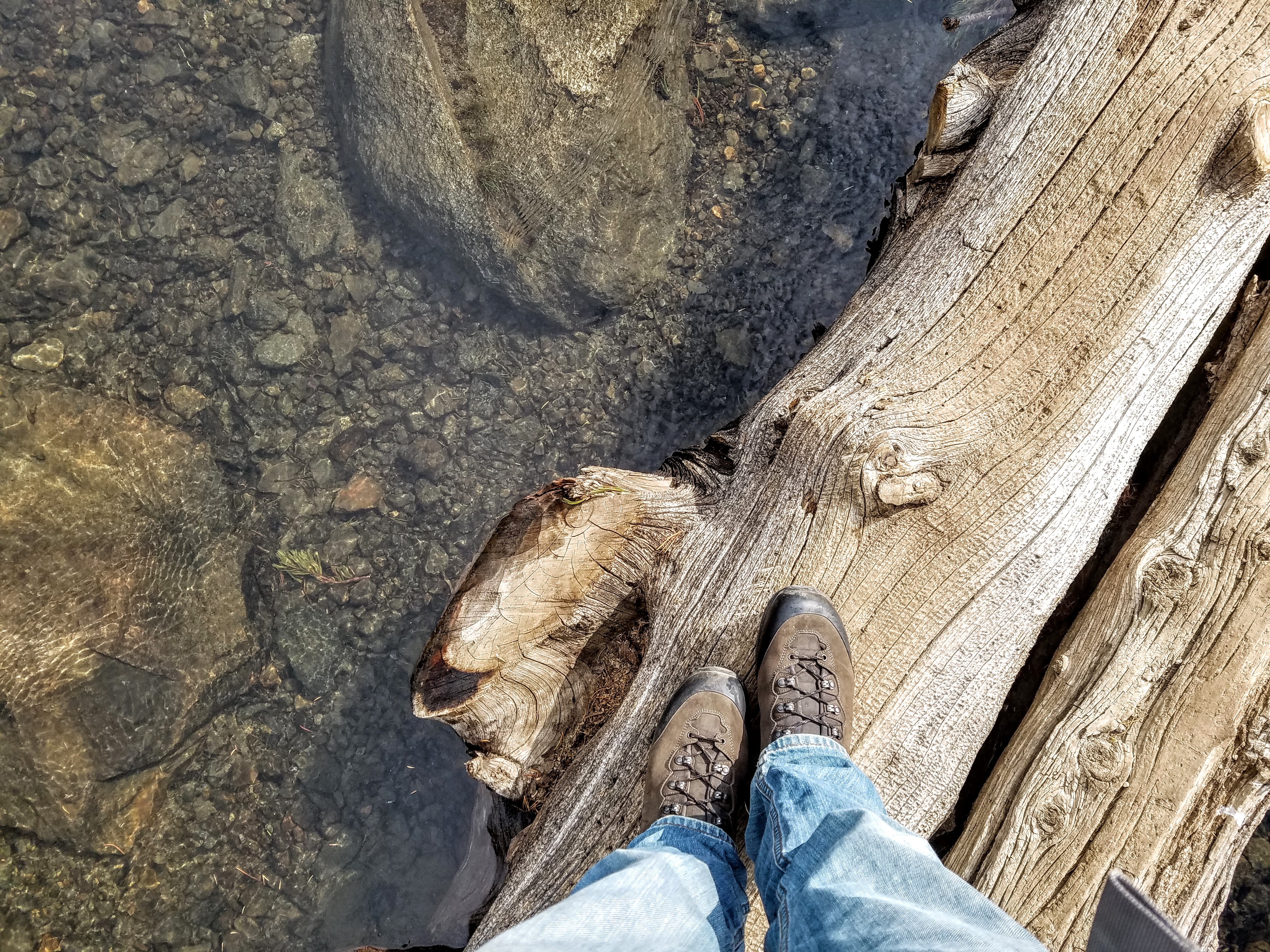 winnemucca lake hike in mokelumne wilderness