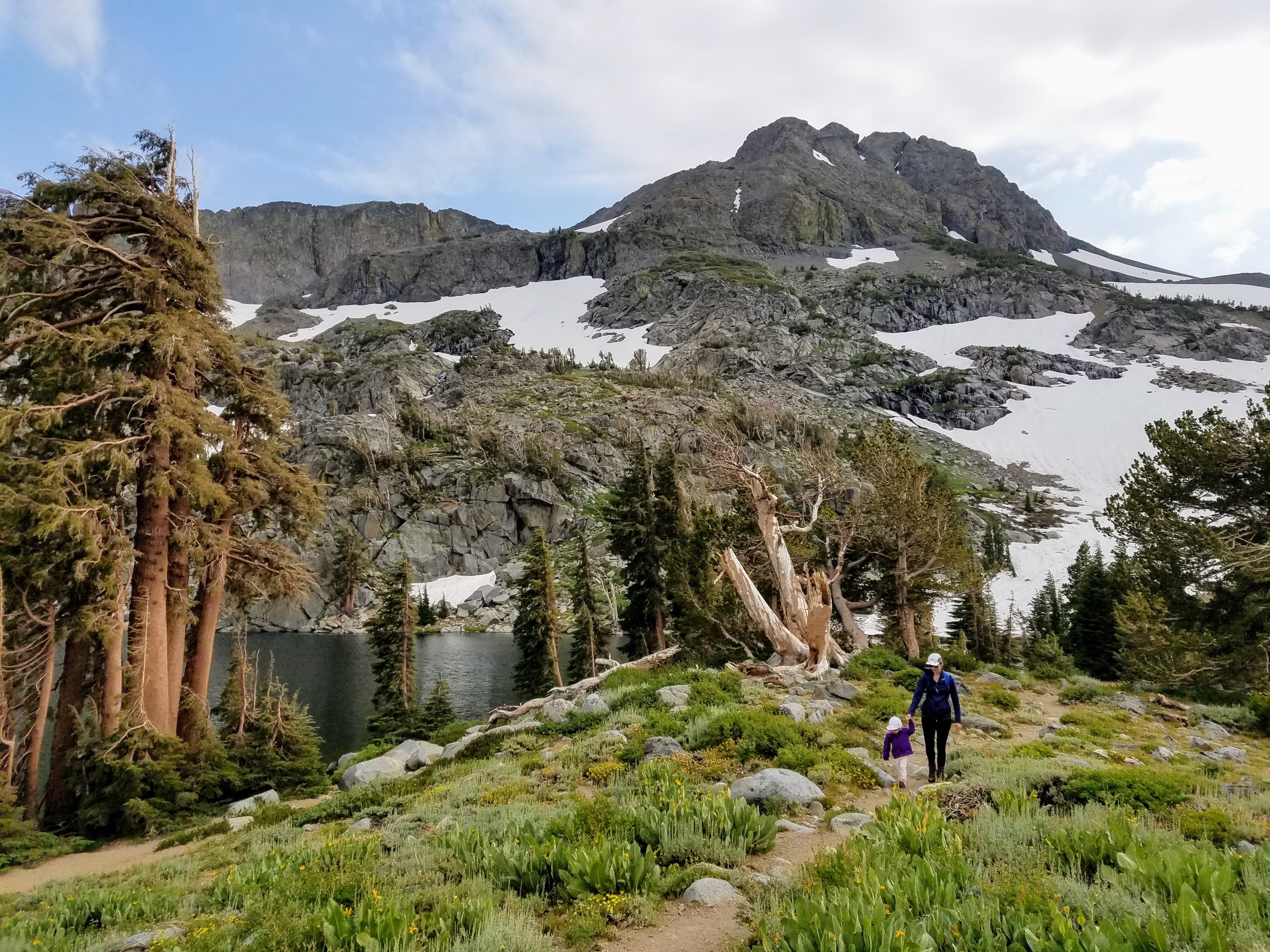 winnemucca lake hike in mokelumne wilderness