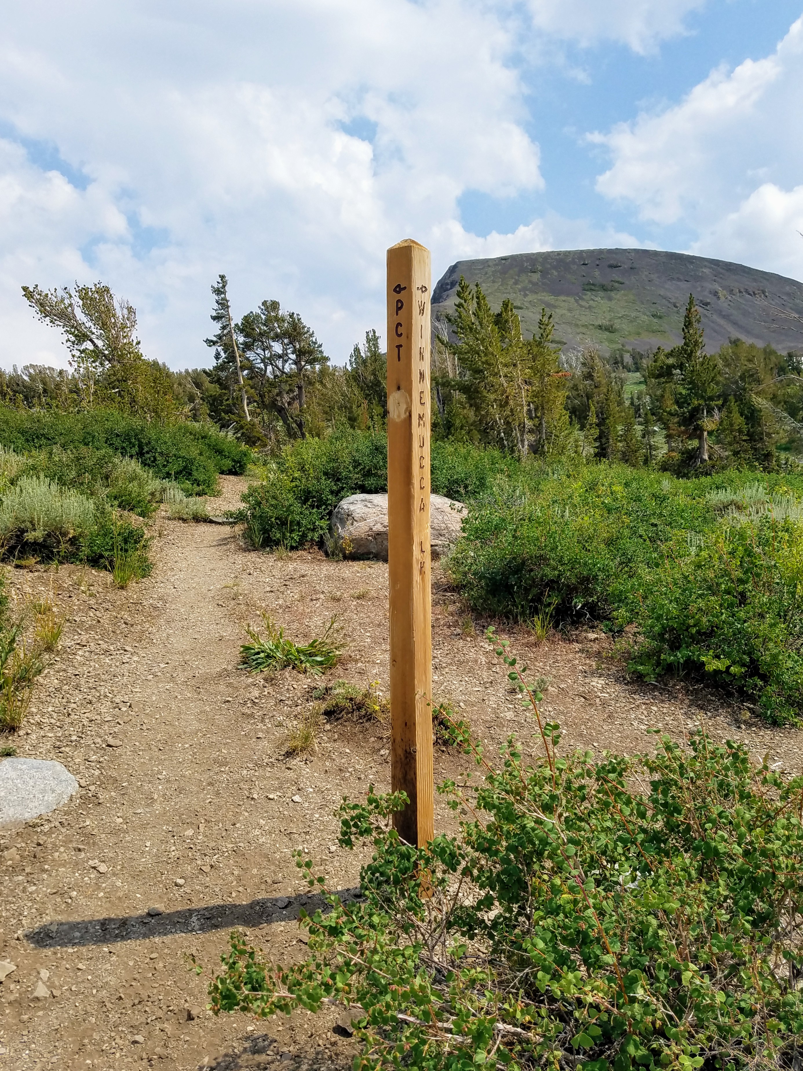 winnemucca lake hike in mokelumne wilderness