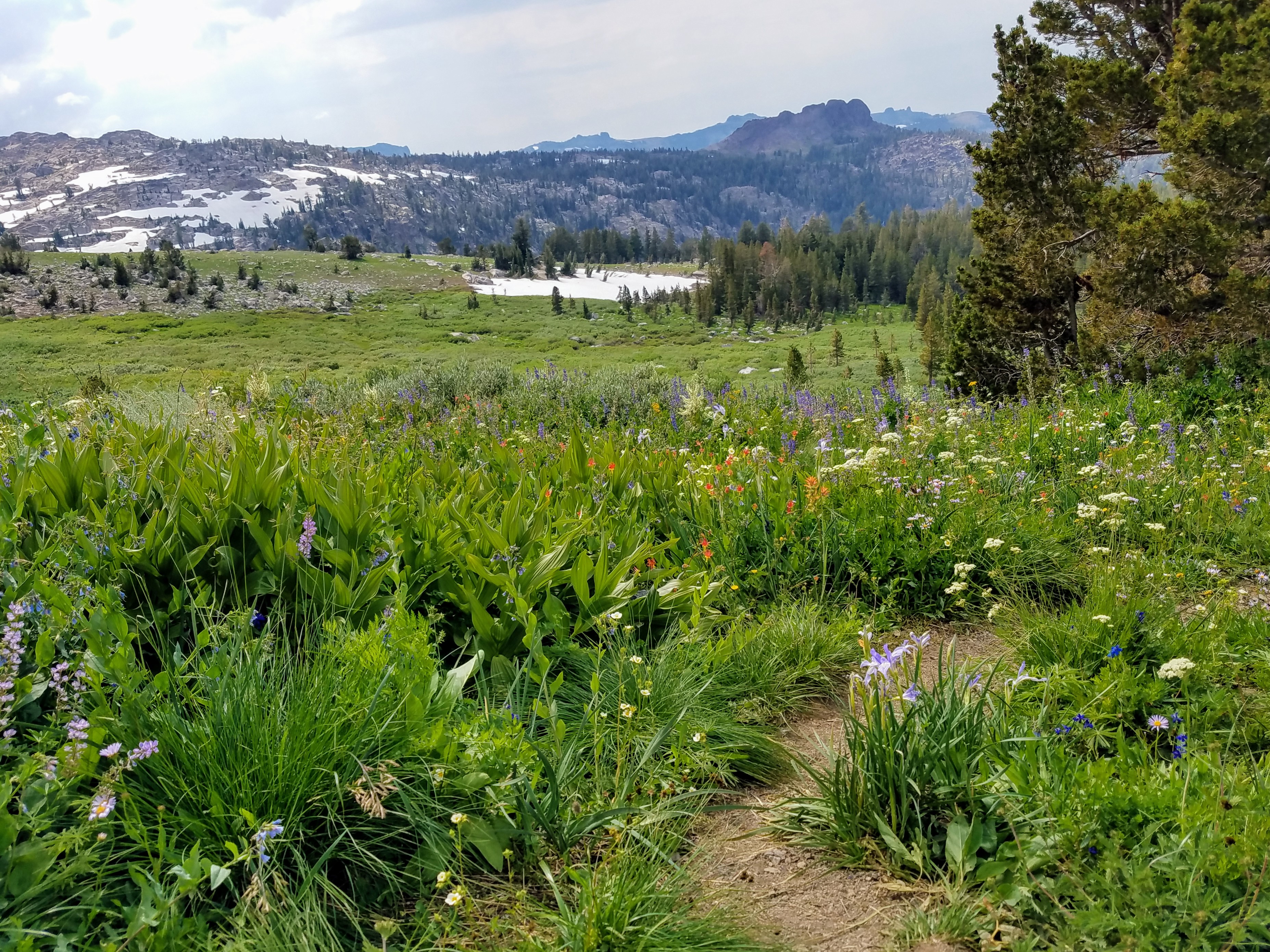 winnemucca lake hike in mokelumne wilderness