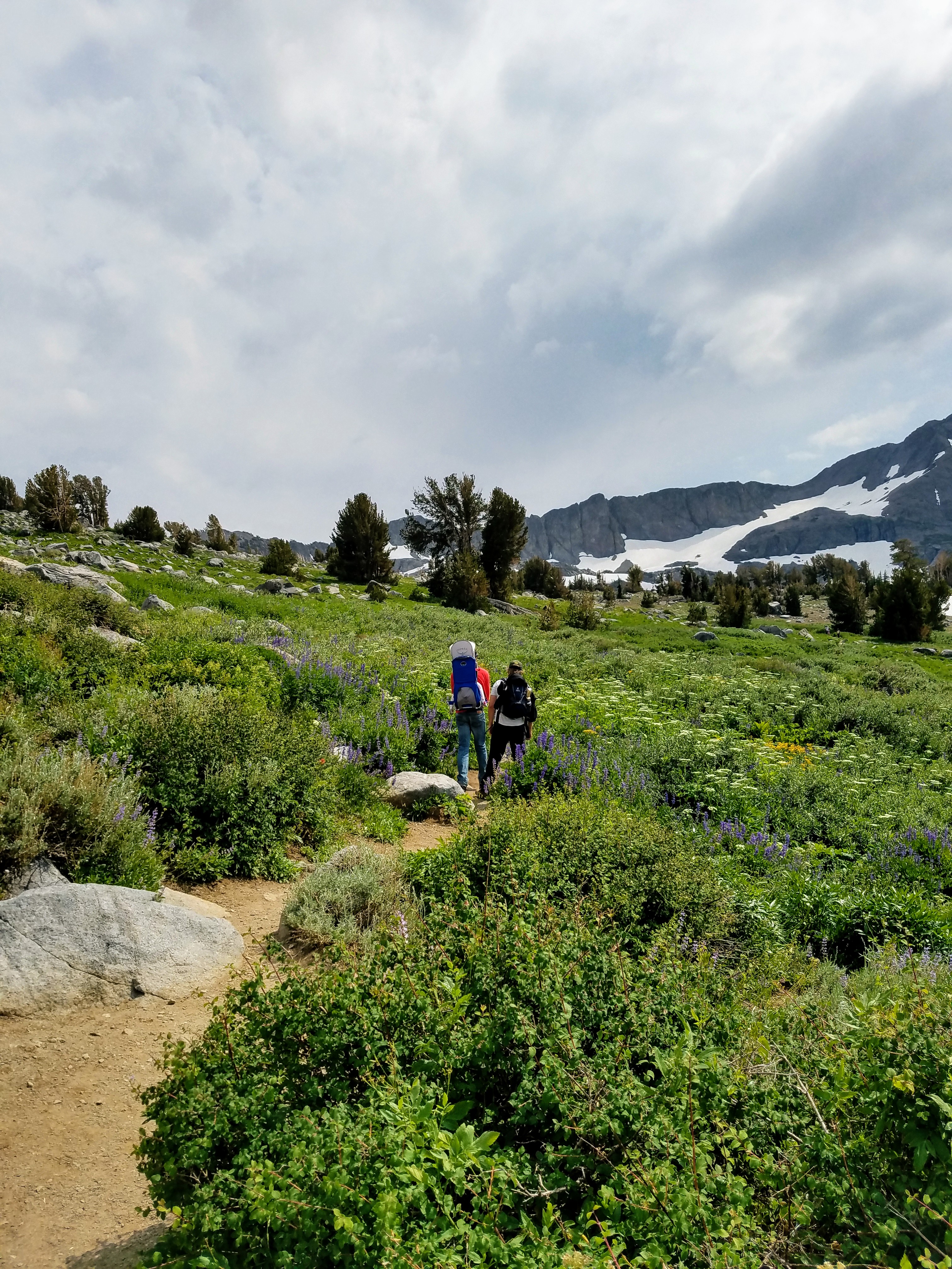 winnemucca lake hike in mokelumne wilderness