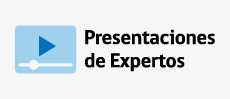 Presentaciones de Expertos