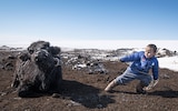 Dorjoo Borkhuu, four, struggles to get one of his family’s cows to its feet in sub-zero conditions