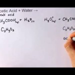 Dissociation Of Acetic Acid In Water Net Ionic Equation