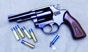 A small .38 revolver with shotshells makes an excellent hiking companion.