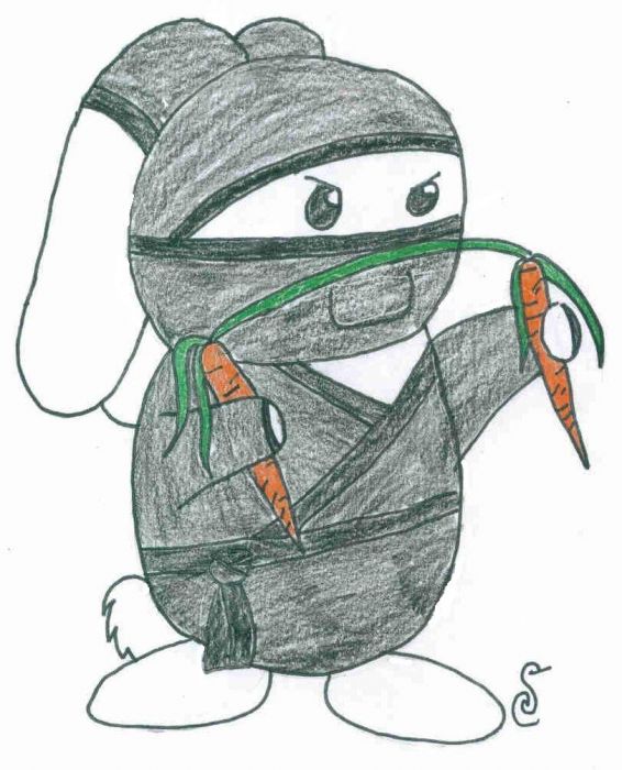 Ninja Bunny