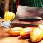 chocolate tours for foodies