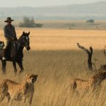 Safari in Africa