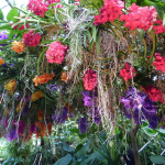 London Flower Festivals