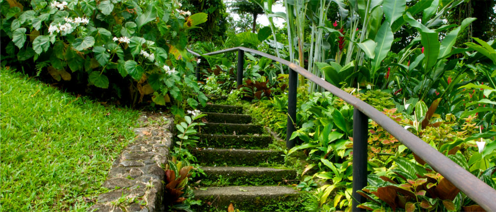 Botanical Garden on St. Vincent