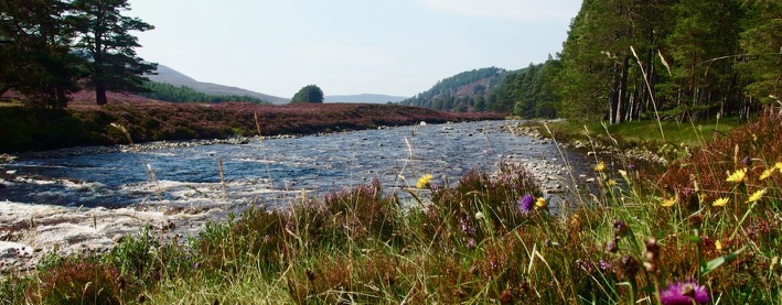 Road Tripping the Scottish Highlands