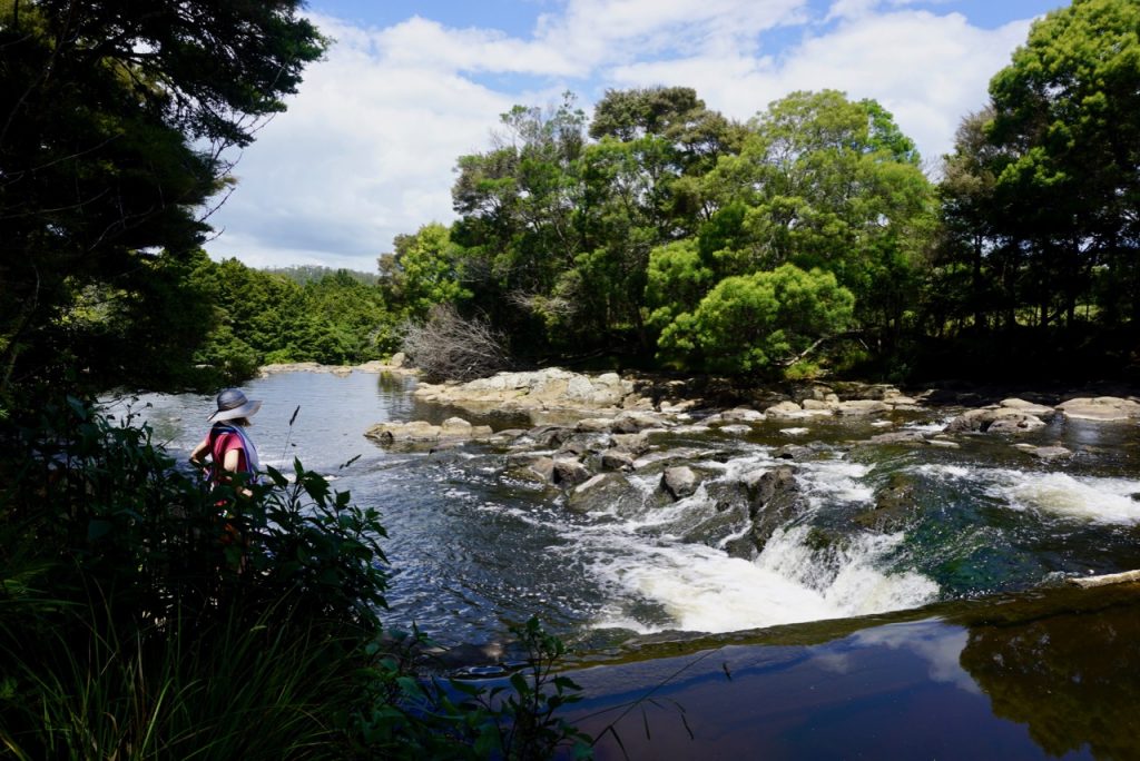 Rainbow Falls, Kerikeri, Northland, New Zealand