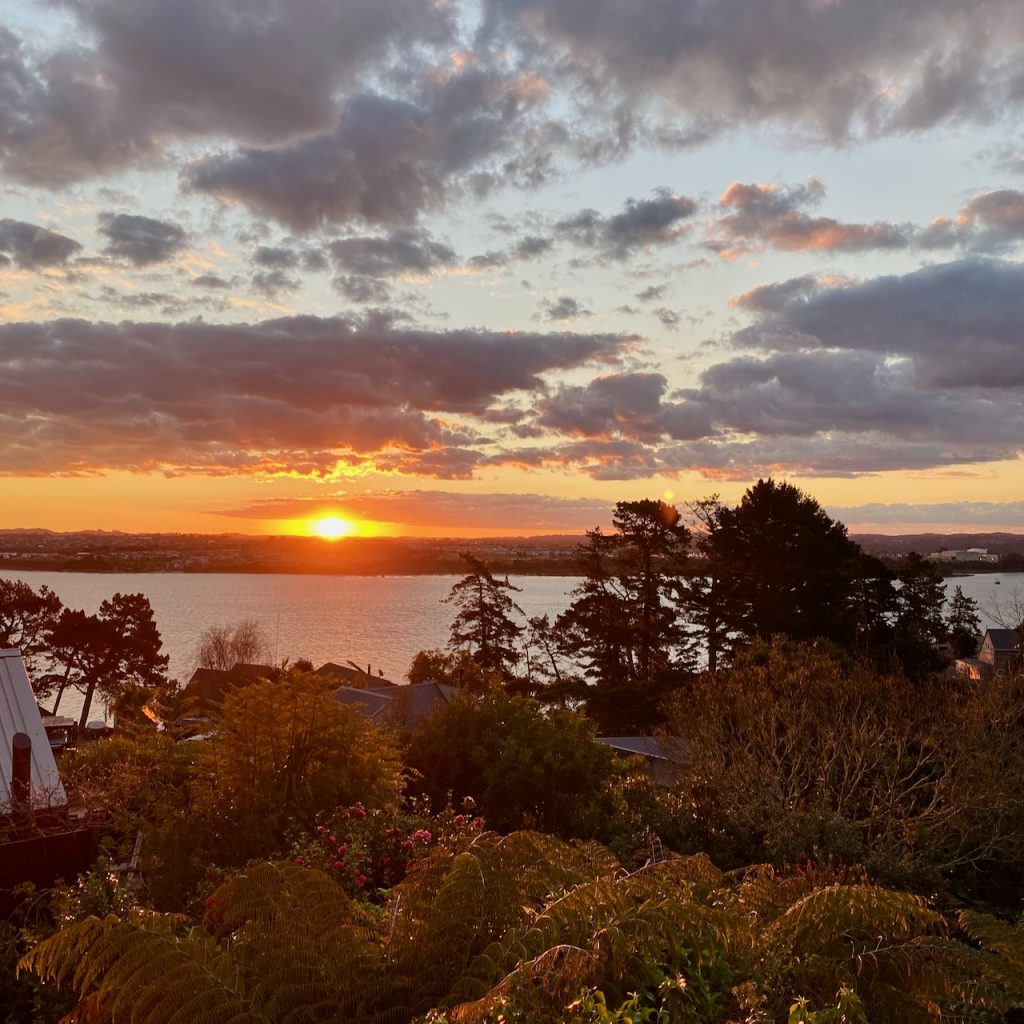 Sunset with bush in front and sea behind