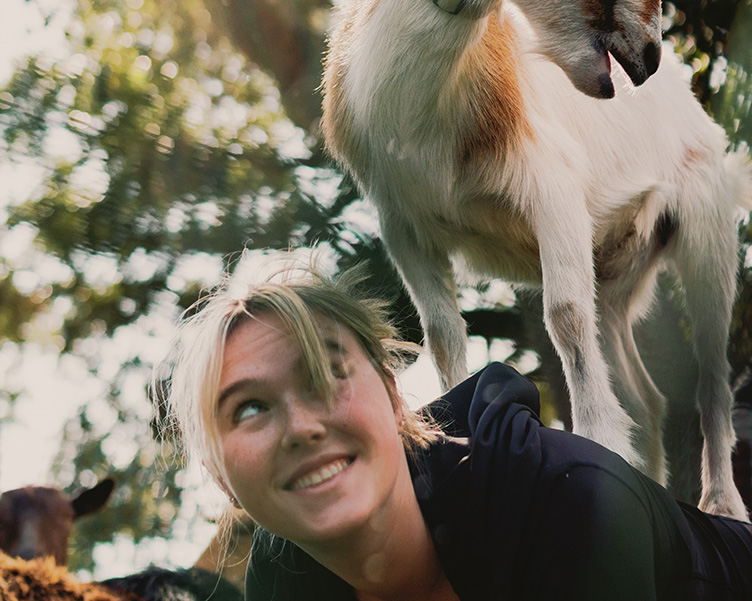 Student going goat yoga in Plant Park