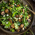 Mushroom and arugula salad with goat cheese, toasted walnuts, and celery - tossed in shallot mustard and truffle oil vinaigrette, this salad is bursting with earthy, fall flavors. | www.viktoriastable.com