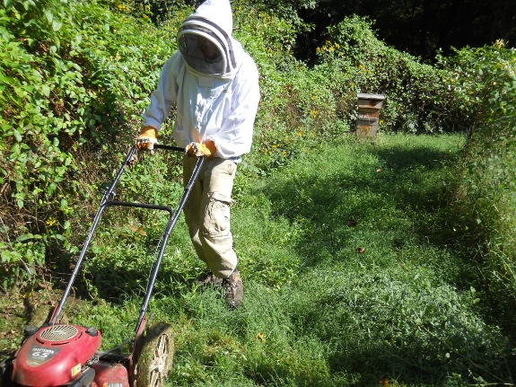 Donning a bee suit to mow near a hive