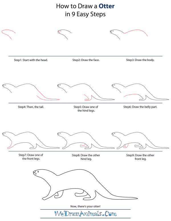 How To Draw An Otter - Step-by-Step Tutorial