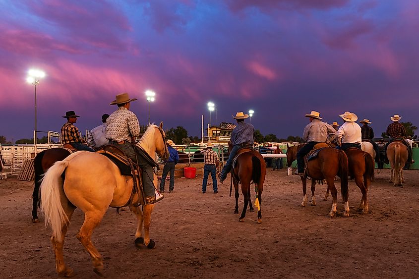 Rodeo in Fallon 